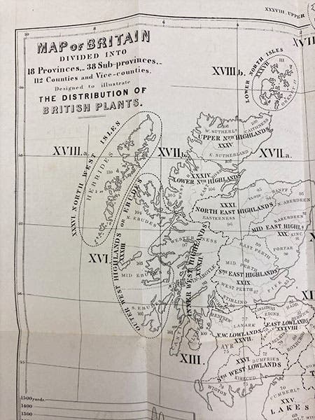 Title page of Cybele Britannica: or British Plants and their Geographical Relations, vol. 1, 1847 (Linda Hall Library)