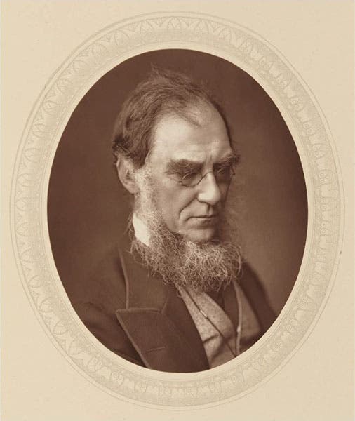 Portrait of Joseph Dalton Hooker, X Club member, photograph, 1881, National Portrait Gallery (npg.org.uk)