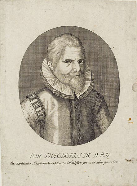 Portrait of Johann Theodor de Bry, unknown source and date Wikimedia commons)
