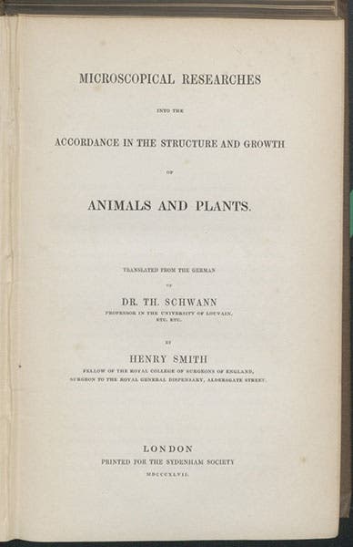 Titlepage of Microscopical Researches into the Accordance in the Structure and Growth of Animals and Plants, 1847, which contains a translation of Theodor Schwann’s book of 1839 and Matthias Schleiden’s paper of 1838 (Linda Hall Library)