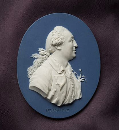 Jasper medallion portrait of Johann Reinhold Forster, by Wedgwood and Bentley, 1775-80, National Museum of Australia (collectionsearch.nma.gov.au)