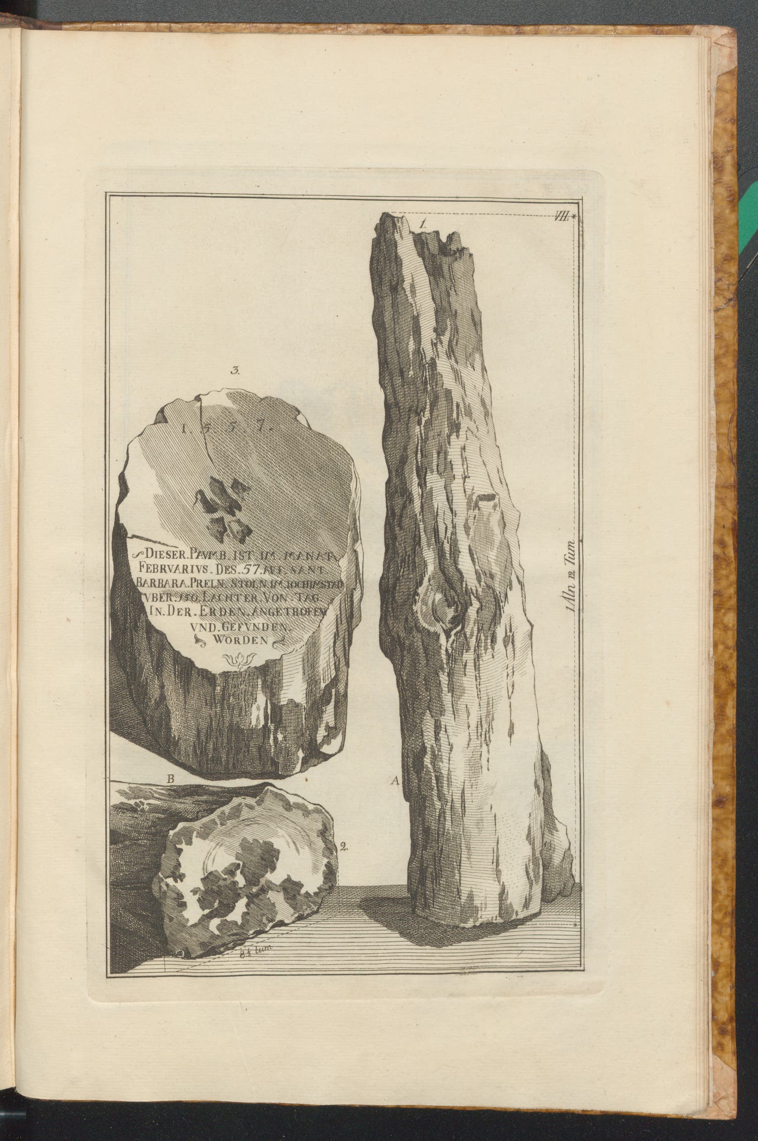 Carl Gustaf Tessin and Carl Linnaeus, Museum Tessinianum. Stockholm: Laurentium Salvium, 1753.