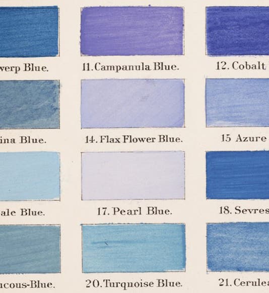 Swatches of various blues with names, detail of plate 9, A Nomenclature of Colors for Naturalists, by Robert Ridgway, 1886 (Linda Hall Library)