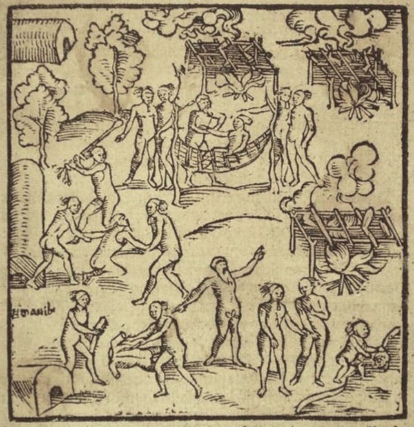 Captives being butchered and roasted by a Tupinamba family group for ritual consumption, woodcut, in Warhaftige Historia und Beschreibung, by Hans Staden, 1557 (Biblioteca Nacional do Rio de Janeiro via archive.org)