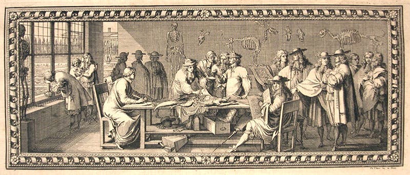 Comparative anatomists at work in the Royal Academy of Sciences in Paris, headpiece engraved by Sébastien Le Clerc, in Claude Perrault, Mémoires pour servir a l’histoire naturelle des animaux, 1676 (Linda Hall Library)