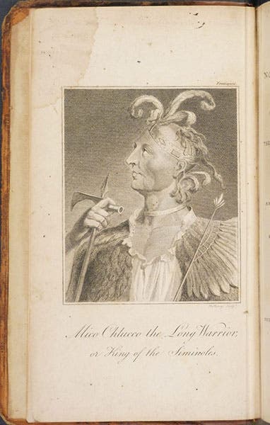 Portrait of the Seminole chief and warrior, Mico Chlucco, frontispiece to William Bartram, Travels, 1792 London ed. (Linda Hall Library)