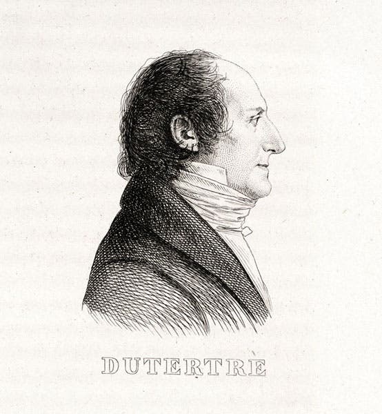 Portrait of André Dutertre, by André Dutertre, engraving in Histoire scientifique et militaire de l'expédition française en Egypte, by Louis Reybaud, text vol. 6, 1830-36 (Linda Hall Library)