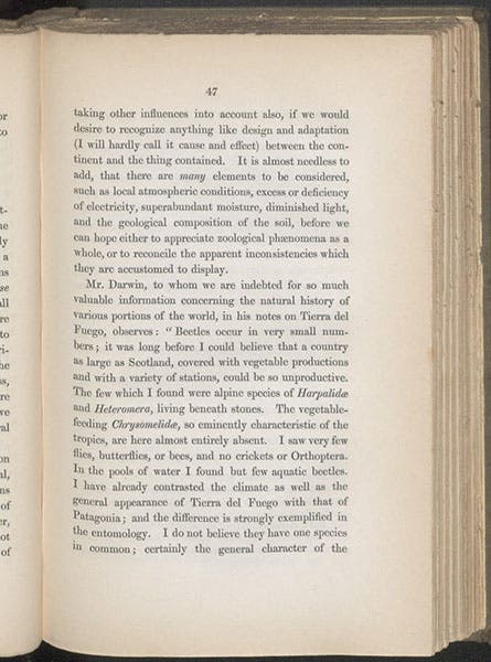 Page citing Charles Darwin and the beetles of Tierra del Fuego, T. Vernon Wollaston, On the Variation of Species, 1856 (Linda Hall Library)