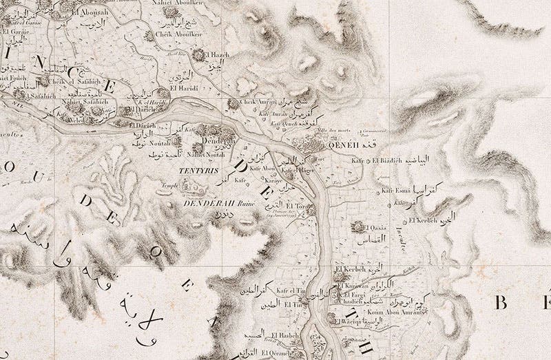 Map of Dendera on the Nile, detail of a much larger engraving, plate 9, in Carte topographique de l’Égypt, by Pierre Jacotin, part of the Description de l’Égypt, 1809-28 (Linda Hall Library)