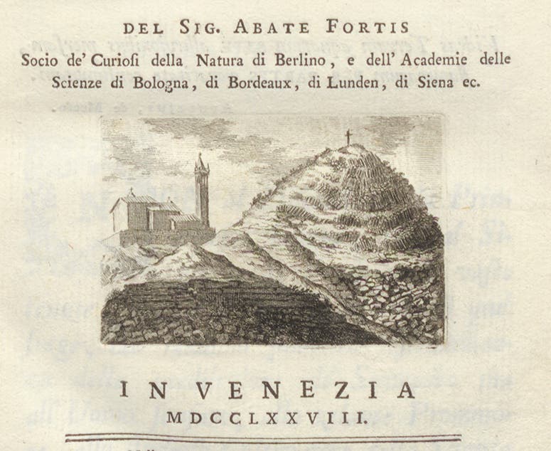 Title page vignette, showing columnar basalt, engraving, Alberto Fortis, Della valle vulcanico-marina di Ronca nel territorio veronese memoria orittografica, 1778 (Linda Hall Library)