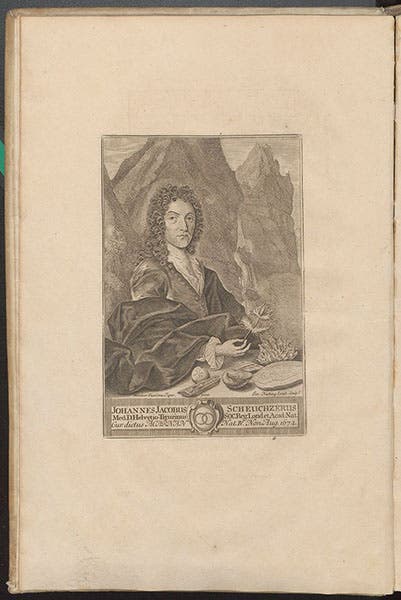 Portrait of Johann Jakob Scheuchzer, engraved frontispiece, Herbarium diluvianum, by Johann Jakob Scheuchzer, new edition, 1723 (Linda Hall Library)