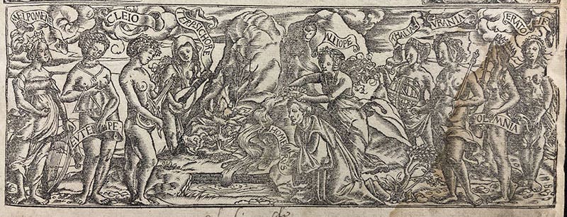 The Nine Muses, bottom panel of woodcut title-page border, by Hans Holbein, Strabonis geographicorum, 1523 (The Linda Hall)