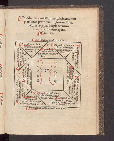 Second diagram and table of 12 planetary domiciles, from Johann Schöner, Ephemeris … pro anno Domini M.D.XXXII, 1531 (Linda Hall Library)