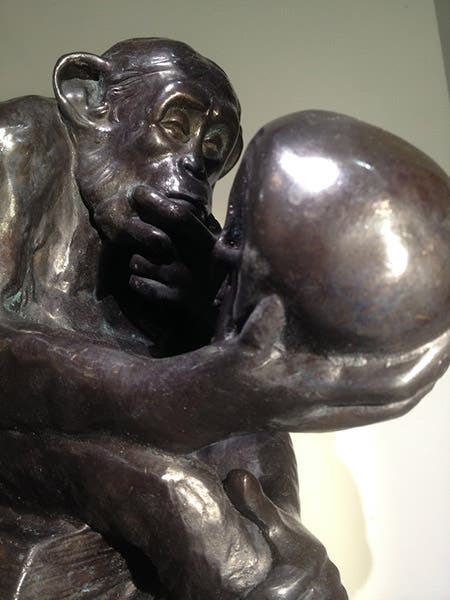 Detail of a 27-cm casting of Affe mit Schädel, showing the contemplative face of the chimpanzee, offered for sale by Darwin Monkey (darwinmonkey.com)