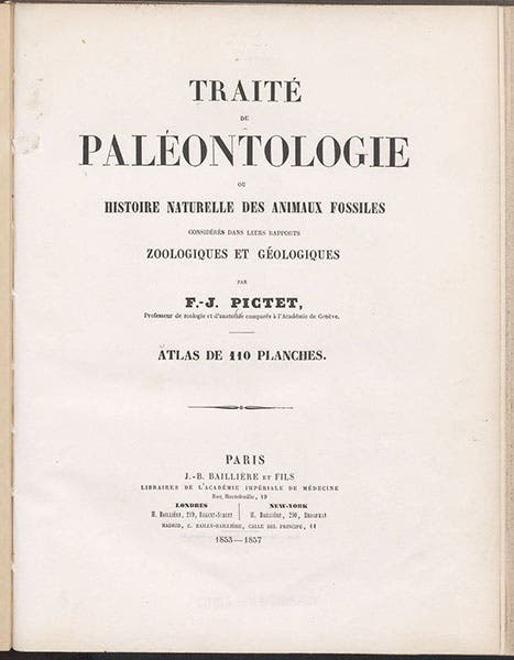 Title page, Traité de paléontologie, Atlas, by François-Jules Pictet, plate 8, 1853-57 (Linda Hall Library)