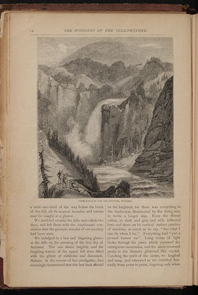 Upper Falls of the Yellowstone River, wood-engraving, Scribners’ Monthly, May 1871 (author’s collection)