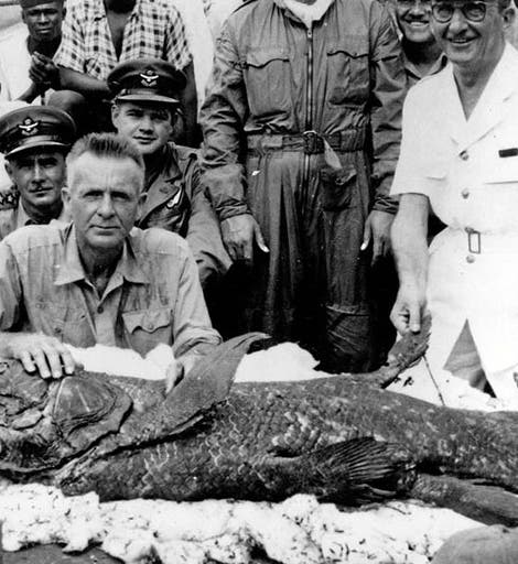 The second coelacanth ever caught, in December 1952, with J.L.B. Smith front and center, surrounded by the crew and the military personnel who flew Smith to the Comoro Islands on short notice, photograph taken Dec. 29, 1952, reprinted in Mail & Guardian, South Africa (mg.co.za)