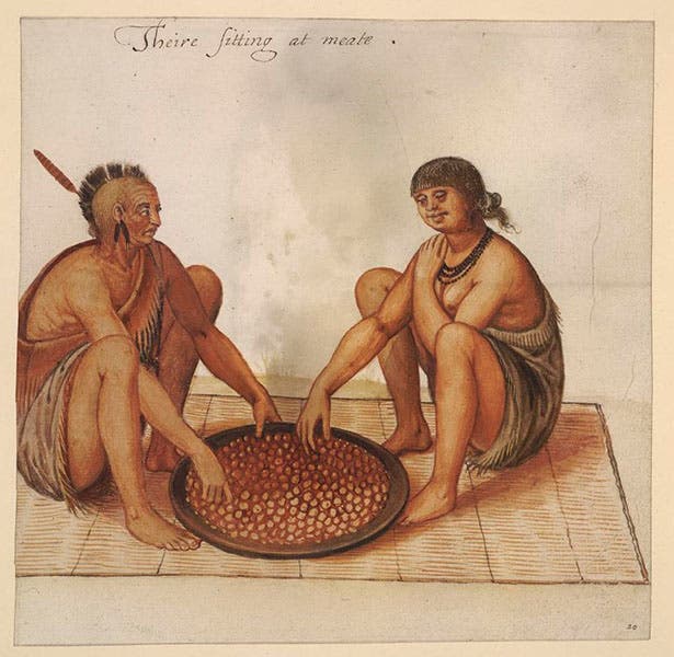 “Theire sitting at meate,” watercolor by John White, 1587-93, British Museum (britishmuseum.org)