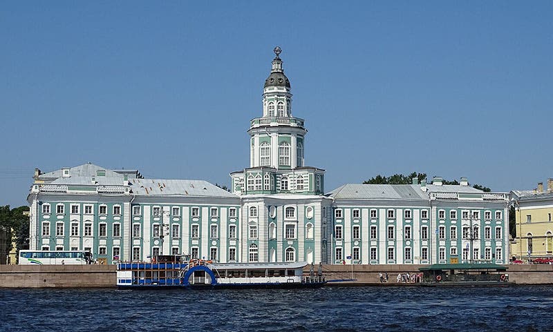 The Kunstkamera in Saint Petersburg, across the river Neva, built under the direction of Peter the Great, 1719-1727 (Wikimedia commons).