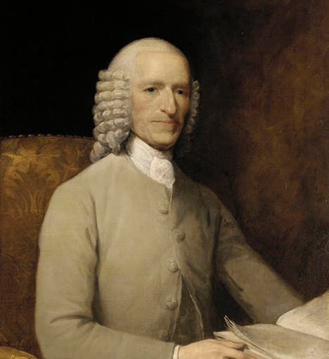 Portrait of John Fothergill, by Gilbert Stuart, oil on canvas, Pennsylvania Academy of the Fine Arts, 1781 (pafa.org)