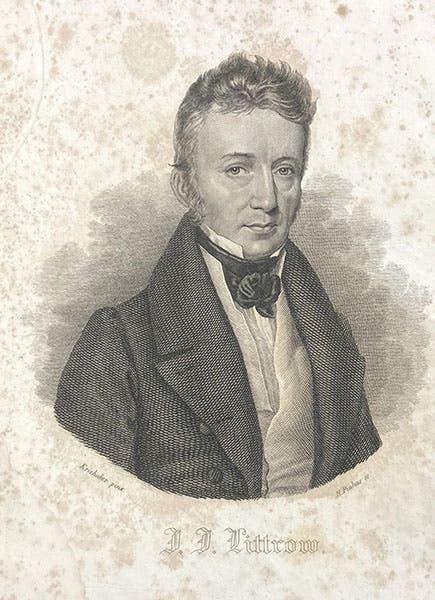 Portrait of Joseph Johann Littrow, engraved frontispiece by H. Pinhas after a drawing by Josef Kreihuber, Die Wunder des Himmels, by Joseph Johann Littrow, 1837 (Linda Hall Library)
