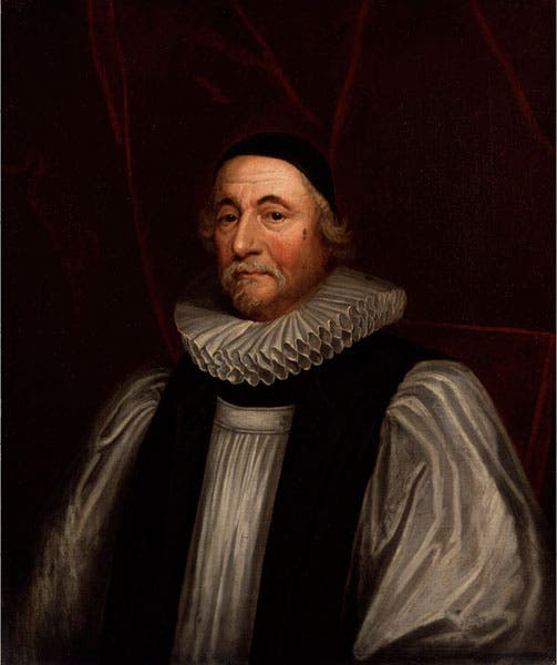 Portrait of James Ussher, after Peter Lely, oil on canvas, 1654, National Portrait Gallery, London (npg.org.uk)