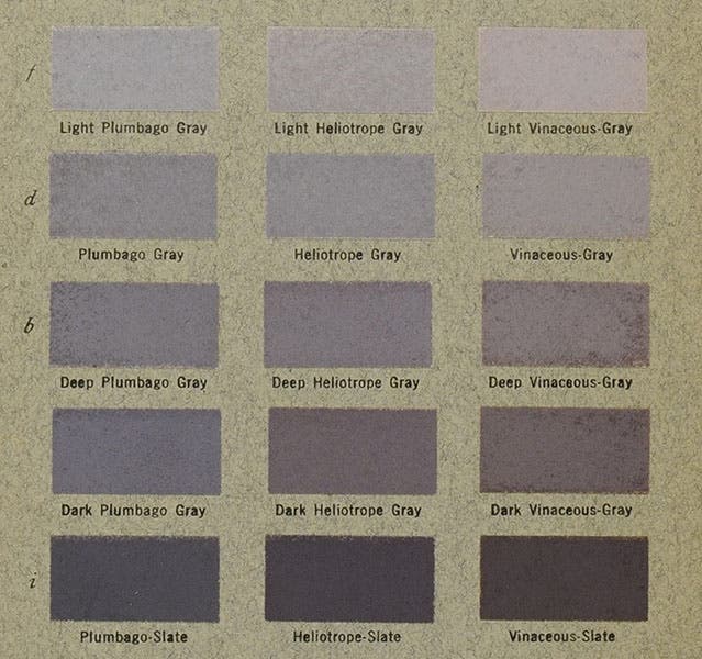 Swatches of various grays with names, detail of plate 50, Color Standards and Color Nomenclature, by Robert Ridgway, 1912 (Linda Hall Library)