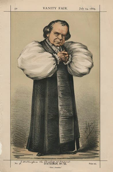 Samuel Wilberforce, chromolithograph caricature by “Ape” (Carlo Pellegrini), Vanity Fair, July 24, 1869, National Portrait Gallery, London (npg.org.uk)