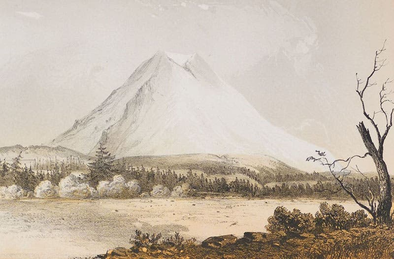 “Mount Rainier viewed from near Steilacoom,” detail of tinted lithograph by John Mix Stanley, in Narrative … for a Route for a Pacific Railroad near the Forty-Seventh and Forty-Ninth Parallels … from St. Paul to Puget Sound, by Isaac I. Stevens, 1855 (publ. 1860) (Linda Hall Library)