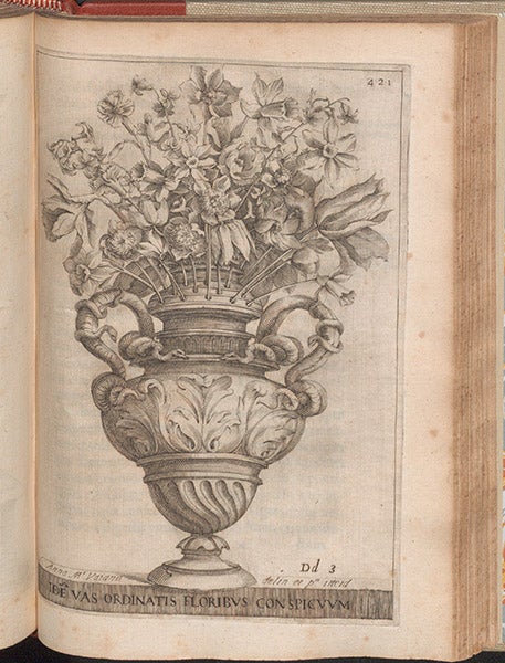 Floral arrangement, engraving by Anna Maria Vaiana, in Giovanni Battista Ferrari, De florum cultura, 1633 (Linda Hall Library)