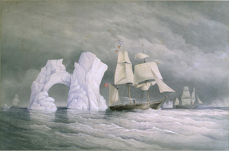 HM Steamship Phoenix, with Talbot and Diligence, passing an iceberg, watercolor by Edward Augustus Inglefield, 1853, National Maritime Museum, Greenwich (rmg.co.uk)
