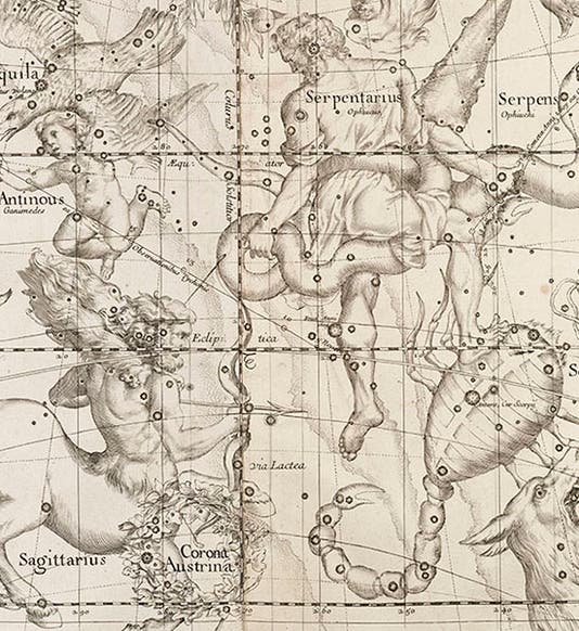 Serpentarius, Aquila, Sagittarius, and Scorpius, detail of plate 3 of Ignace-Gaston Pardies, <i>Globi coelestis</i>, 1674 (Linda Hall Library)