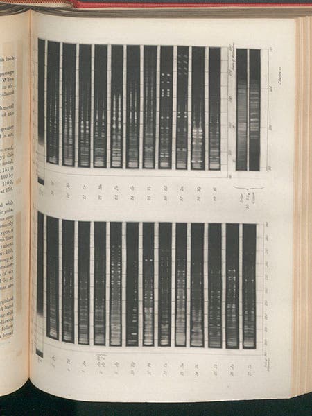 Photographs of a variety of chemical spectra, mezzotints by James Basire III to accompany paper by William Allen Miller, Philosophical Transactions of the Royal Society of London, vol. 152, pl, 40, 1862 (Linda Hall Library)