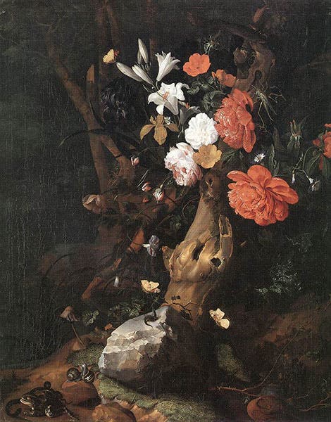 Flowers on a Tree Trunk, oil on canvas, by Rachel Ruysch, undated, Staatliche Museen, Kassel (wga.hu)