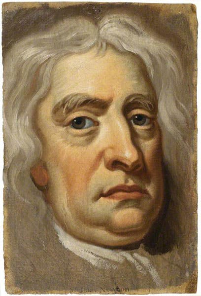 Portrait sketch of Isaac Neeton, oil on paper, by John Vanderbank, 1725-26, in the Royal Society of London (artuk.org)