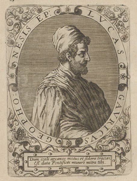 Portrait of Luca Gaurico, engraving by Theodor de Bry, in Icones quinquaginta virorum illustrium, by Jean-Jacques Boissard, vol. 1, plate 42, 1597-99 (Linda Hall Library)
