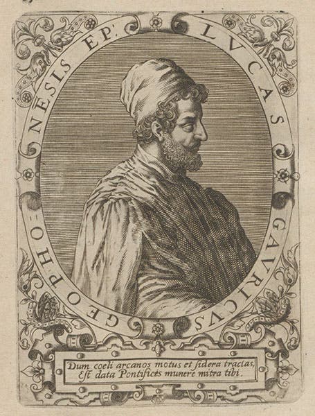 Portrait of Luca Gaurico, engraving by Theodor de Bry, in Icones quinquaginta virorum illustrium, by Jean-Jacques Boissard, vol. 1, plate 42, 1597-99 (Linda Hall Library)
