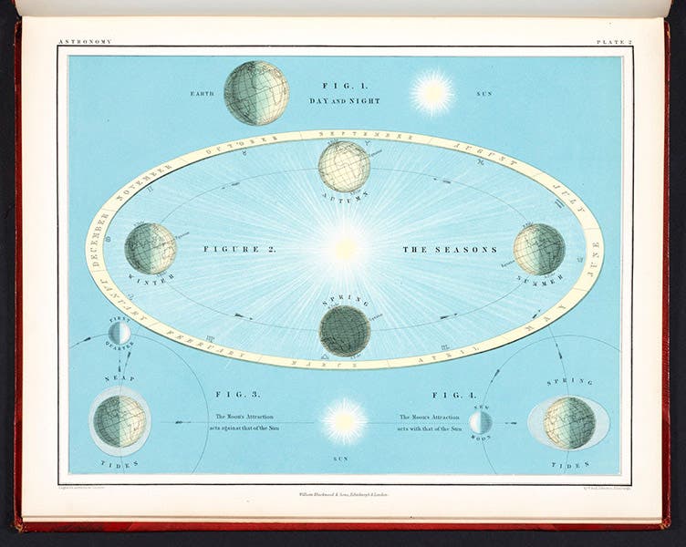 Causes of the seasons and the tides, hand-colored lithograph, Atlas of Astronomy, by Alexander Keith Johnston, plate 2, 1855 (Linda Hall Library)