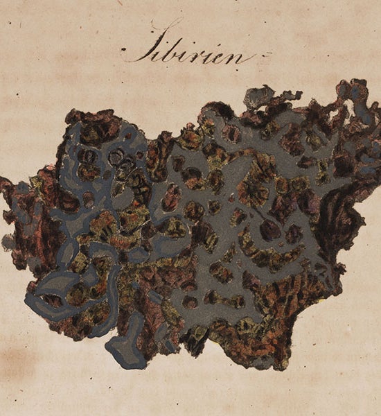 A fragment of the Pallas iron, from Karl von Schreibers, <i>Beytrage zur Geschichte und Kenntniss meteorischer Stein- und Metall-Massen</i>, 1820 (Linda Hall Library)