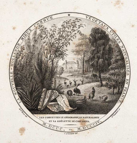 The grounds at Malmaison, with black emus and black swans brought back from the Baudin voyage to Australia, engraved vignette after a sketch by Charles Lesueur, detail of title page of the Atlas to François Péron, Voyage de découvertes aux terres Australes, 1807-16 (Linda Hall Library)