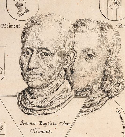 Dual portrait of Joan Baptista van Helmont (left) and his son, Franciscus Mercurius van Helmont, detail of frontispiece to van Helmont’s <i>Ortus medicinae</i>, 1648 (Linda Hall Library)