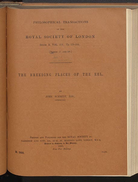 Paper cover, “The breeding places of the eel,” by Johannes Schmidt, Philosophical Transactions of the Royal Society of London, ser. B, vol. 211, 1922 (Linda Hall Library)