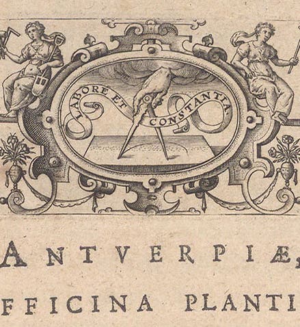 Printer’s mark of the Officina Plantiniana, detail of title page, Imagines illustrium ex Fuluii Vrsini bibliotheca, by Johann Faber, 1606 (Linda Hall Library)