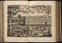 Loading the Ark, two-page engraving in Arca Noë, by Athanasius Kircher, foll. p. 122, 1675, copy 2 (Linda Hall Library)