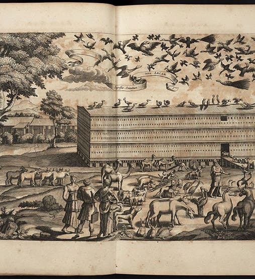 Loading the Ark, two-page engraving in Arca Noë, by Athanasius Kircher, foll. p. 122, 1675, copy 2 (Linda Hall Library)