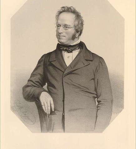 Portrait of John Edward Gray, lithograph by Thomas Maguire, 1851, British Museum (britishmuseum.org)