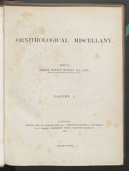 Title page, George Dawson Rowley, Ornithological Miscellany, 1875-78, vol. 1, 1876 (Linda Hall Library)