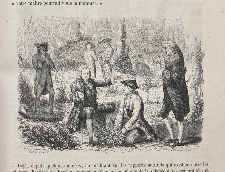 Linnaeus teaching in the field, wood engaving, Le muséum d'histoire naturelle, by Paul-Antoine Cap, part 1, detail of p. 15, 1854 (Linda Hall Library)