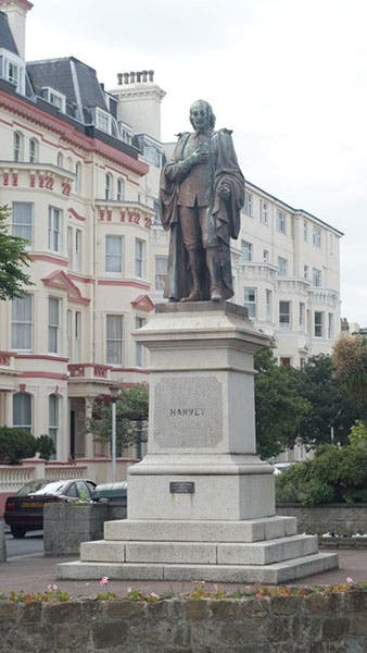 Statue of William Harvey, in Folkestone, Kent, his birthplace (Wikimedia commons)