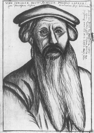 Portrait of Achilles Pirmin Gasser, 1571 (Wikimedia commons)